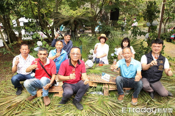 ▲▼ 阿里山四季茶旅－夏季茶會 。（圖／阿里山風景管理處提供）