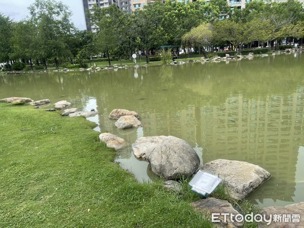 ▲▼高雄凹子底公園驚傳「鱷魚出沒」，他重返現場...傻眼真相曝光。（圖／記者賴文萱翻攝）