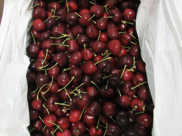 ▲▼美國出口「紅櫻桃(FRESH CHERRIES)」檢出農藥殘留含量不符規定。（圖／食藥署提供）