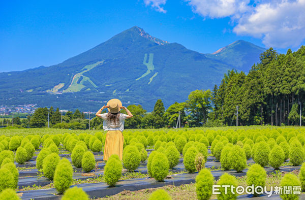 ▲▼福島豬苗代花草園。（圖／記者蔡玟君攝）