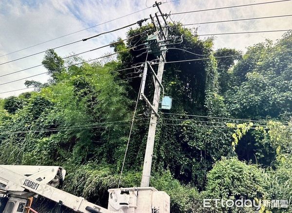 ▲▼             南投魚池鄉東光村131外加道路段今(2)日上午9時30分發生死亡意外。（圖／民眾提供）