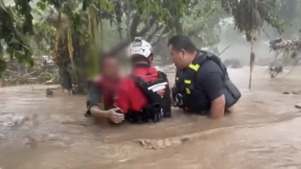 ▲▼北京暴雨「2人爬樹躲洪水」　苦撐24小時終於獲救。（圖／翻攝微博）