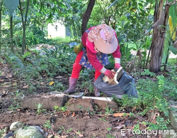 ▲雲林縣登革熱防治首次祭出補償措施，因疫情被封園的耕地將比照休耕補助，每公頃補助6萬元。（圖／記者蔡佩旻翻攝）