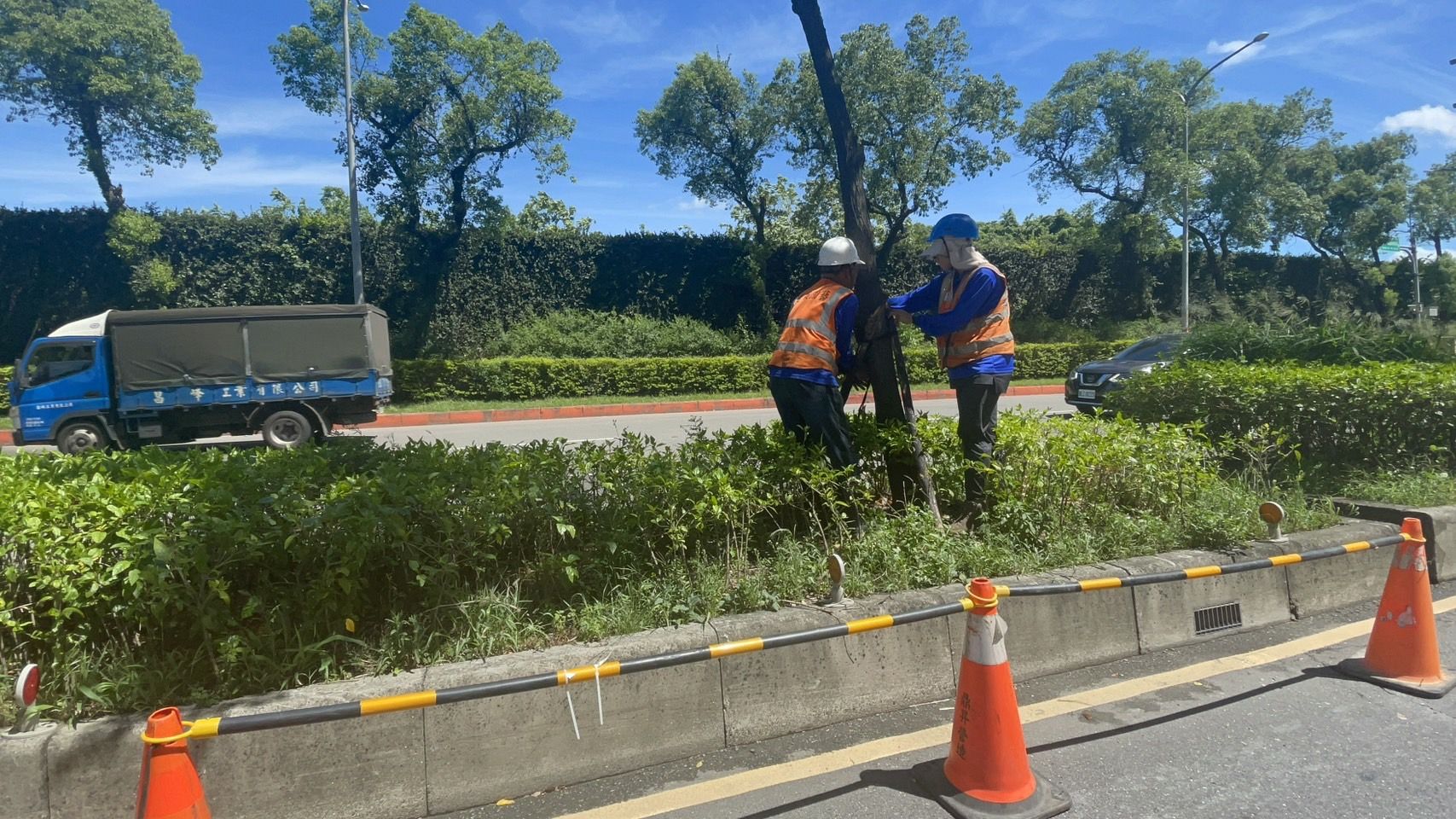 ▲新北景觀處加強巡視 落實防颱整備工作。（圖／新北市景觀處提供）