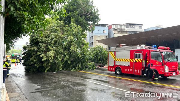 快訊／北市士林區大樹倒塌！連地磚也被掀起 雙向緊急管制 | ETtoday社會新聞 | ETtoday新聞雲