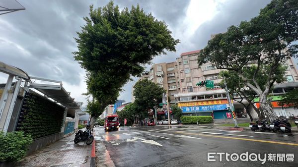 ▲▼    士林區福華路路樹倒塌         。（圖／記者鄭毓麟攝）