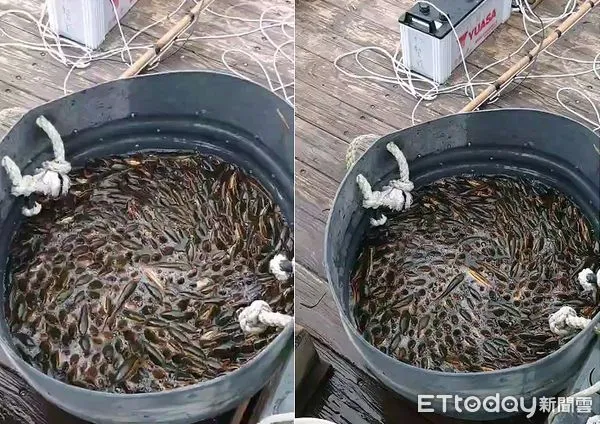 ▲▼             。（圖／記者高堂堯翻攝）