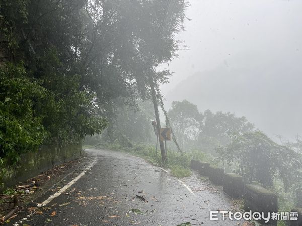 ▲▼目前和平區風大雨大，時停時大，道路有倒樹落石發生，累積雨量以超過250公釐，吳萬福表示，為區民安全週五下午停班停課。（圖／記者哈勇嘎奧翻攝）