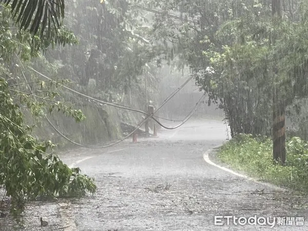 ▲▼目前和平區風大雨大，時停時大，道路有倒樹落石發生，累積雨量以超過250公釐，吳萬福表示，為區民安全週五下午停班停課。（圖／記者哈勇嘎奧翻攝）