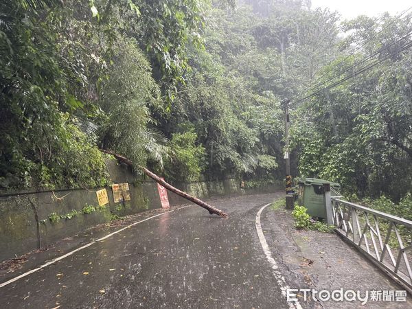 ▲▼目前和平區風大雨大，時停時大，道路有倒樹落石發生，累積雨量以超過250公釐，吳萬福表示，為區民安全週五下午停班停課。（圖／記者哈勇嘎奧翻攝）