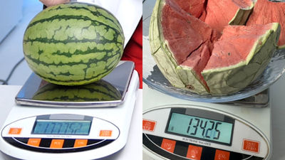 整顆西瓜乾燥脫水「1.7公斤→134公克」超過90%都是水　實驗者：味道超爆甜