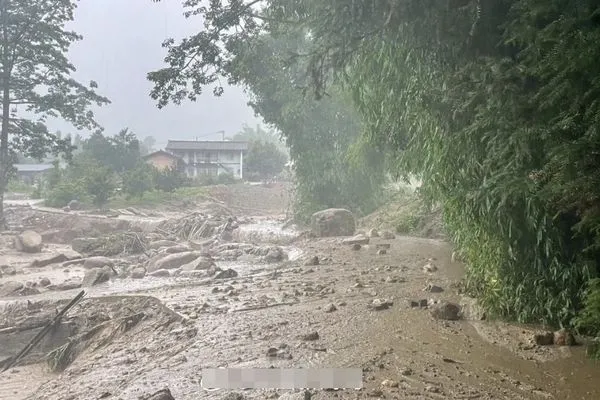 ▲▼遇到土石流，不要順流跑或躲樹上。（圖／翻攝自微博／中國新聞網）