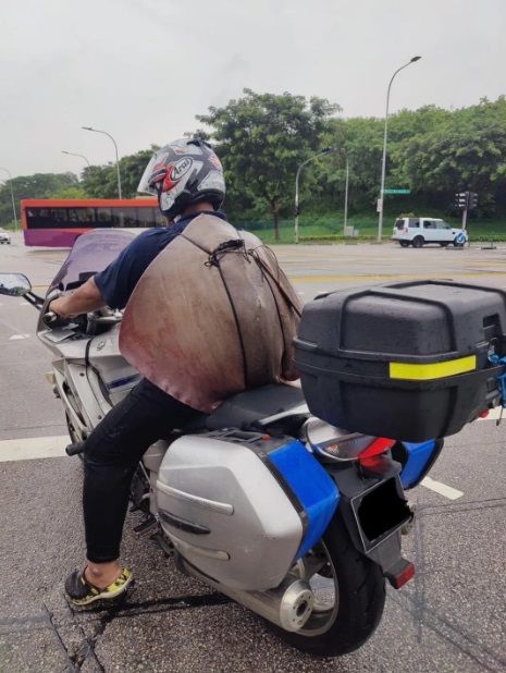 ▲新加坡騎士揹疑似瀕危魟魚回家料理，在路上被人捕捉到畫面。（圖／翻攝Reddit）