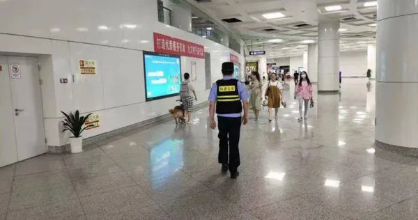 大陸浙江省寧波市鼓樓地鐵站，有一位女孩每天在導盲犬的牽引下穿過地鐵站。（圖／翻攝自微博）