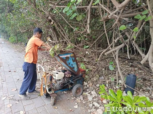 ▲行政院農業部林管處，對杜芮蘇颱風造成台南市安平區金城里、漁光里內的防風林的斷枝、落葉等處理，目前已委託廠商，將這些以攪拌機攪成碎片並噴至防風林區內，讓這些碎片回歸大自然成為「堆肥」。（圖／記者林東良翻攝，下同）