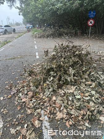 ▲行政院農業部林管處，對杜芮蘇颱風造成台南市安平區金城里、漁光里內的防風林的斷枝、落葉等處理，目前已委託廠商，將這些以攪拌機攪成碎片並噴至防風林區內，讓這些碎片回歸大自然成為「堆肥」。（圖／記者林東良翻攝，下同）