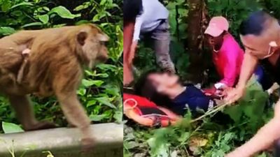 路邊尿尿遭「惡猴幫派」圍攻！男被追打到深山裡　慘墜崖50公尺嚴重失血