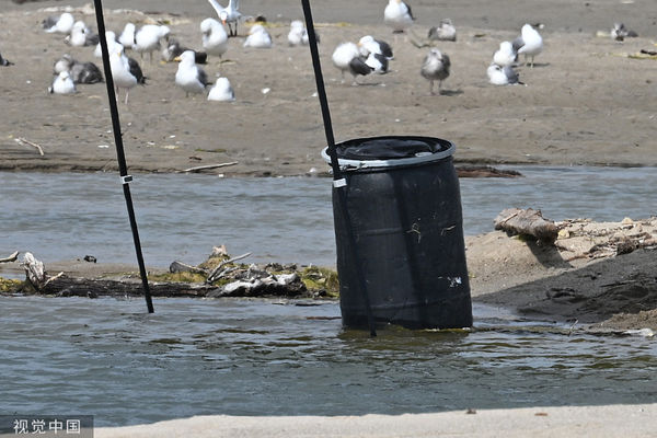 ▲▼美國洛杉磯警方7月31日在馬里布海灘發現桶屍。（圖／CFP）