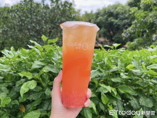 ▲▼CoCo葡萄柚果粒茶。（圖／CoCo提供）