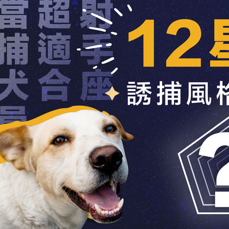 圖／台灣之心愛護動物協會授權鍵盤大檸檬