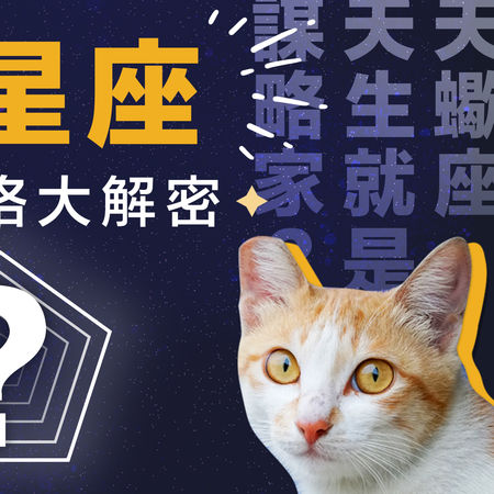 圖／台灣之心愛護動物協會授權鍵盤大檸檬