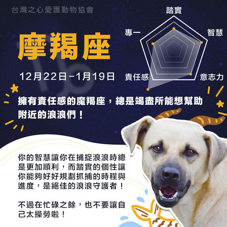 圖／台灣之心愛護動物協會授權鍵盤大檸檬