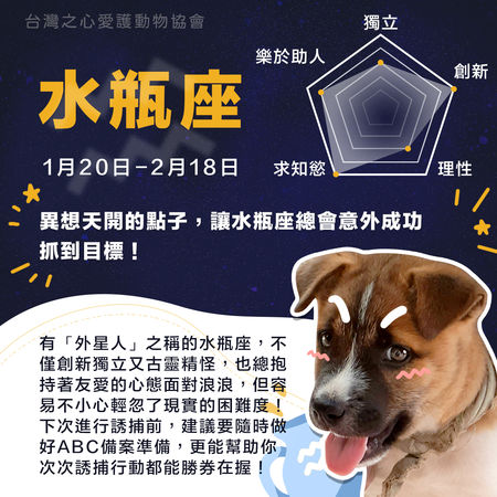 圖／台灣之心愛護動物協會授權鍵盤大檸檬