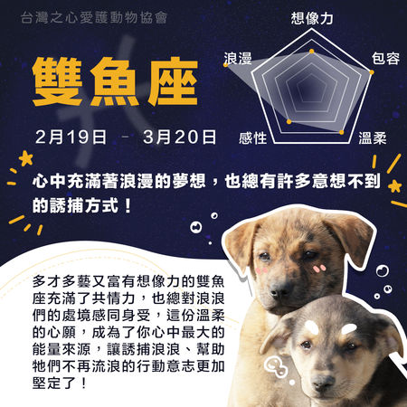 圖／台灣之心愛護動物協會授權鍵盤大檸檬