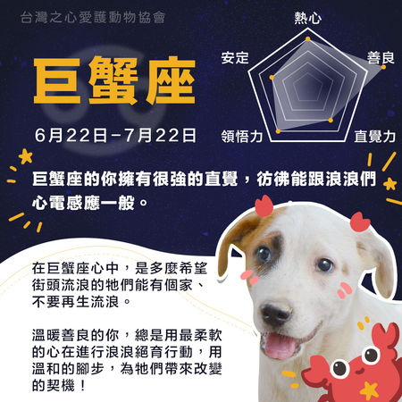 圖／台灣之心愛護動物協會授權鍵盤大檸檬