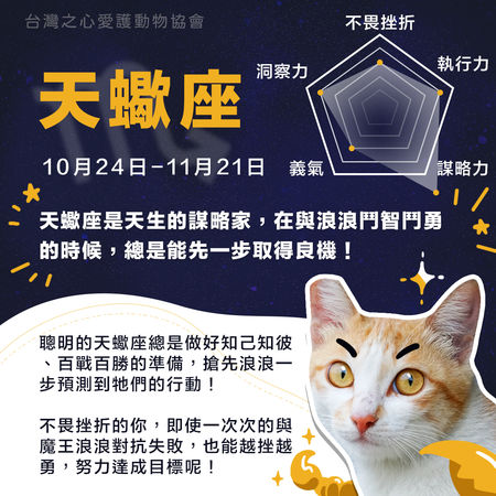 圖／台灣之心愛護動物協會授權鍵盤大檸檬