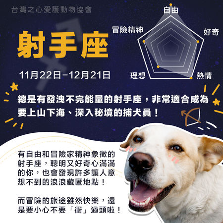 圖／台灣之心愛護動物協會授權鍵盤大檸檬