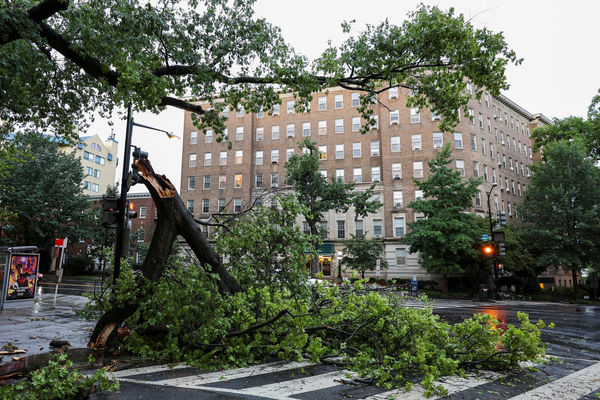 ▲▼美國華盛頓特區路樹因強風斷裂倒塌。（圖／路透）