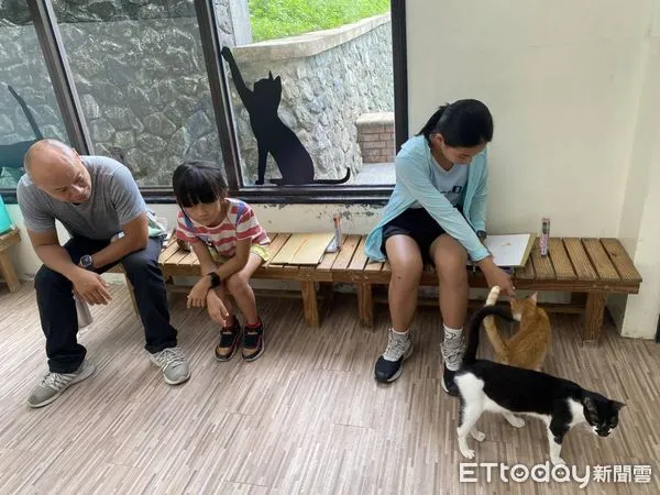 ▲▼ 台灣首座貓村「猴硐」名聲紅遍世界，新北市政府動保處也特別在猴硐貓村種植一大片貓咪喜愛的「貓薄荷」，營造動植物多元共融生態            。（圖／記者戴上容翻攝）