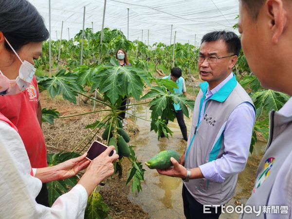 ▲風災重創南投縣，農業損失高達1.3億元。（圖／農業部農糧署提供）