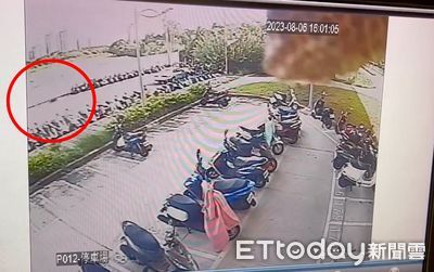 浪浪小黑掰咖躲車站「全身是傷苦撐3天慘死」 生前最後影像曝光