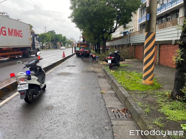 ▲▼高雄大雨狂轟！路樹倒塌狠砸機車騎士，1男緊急送醫。（圖／記者賴文萱翻攝）