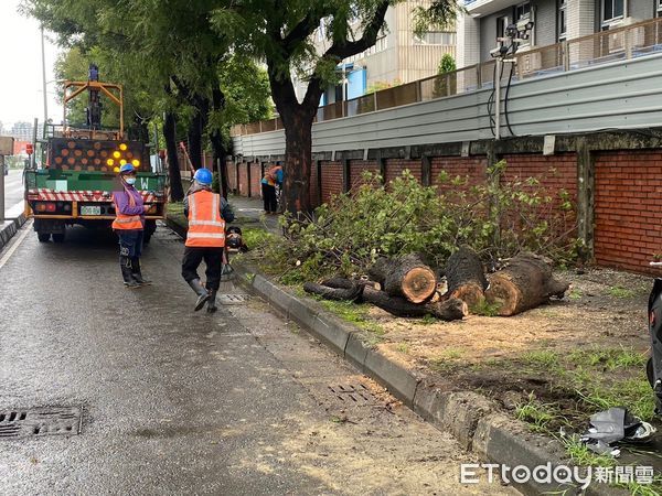 ▲▼高雄大雨狂轟！路樹倒塌狠砸機車騎士，1男緊急送醫。（圖／記者賴文萱翻攝）