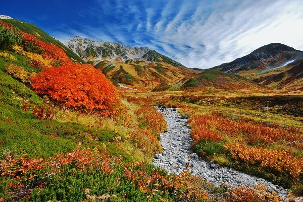 ▲▼日本,河口湖,賞楓。（圖／啟示廣告提供）