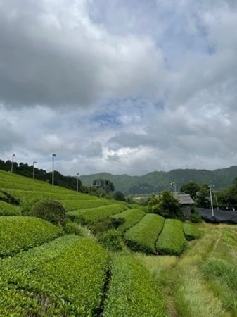 ▲▼京都都喜天麗飯店。（圖／業者提供）