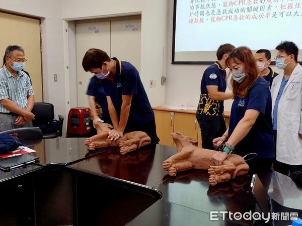 ▲▼新北動保處推廣寵物CPR，超過600人取得證明             。（圖／記者戴上容翻攝）