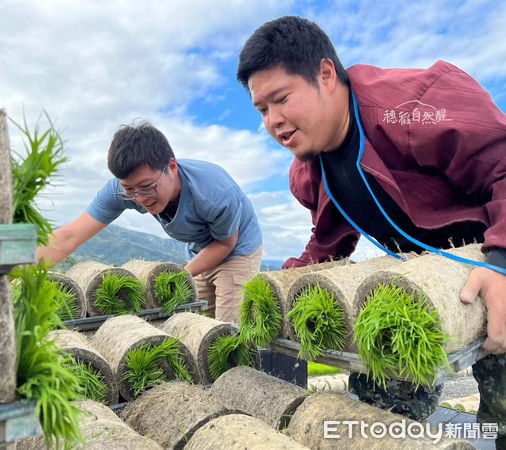 ▲秧田良品的迷迭香有機豆奶，原料百分之百取自於花蓮嚴選1號非基改有機黃豆             。（圖／秧田良品提供，下同）