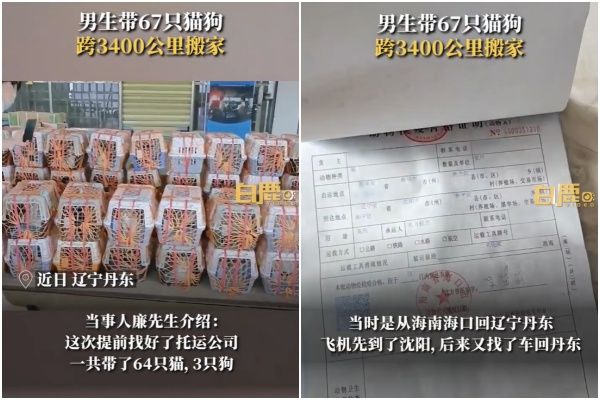 ▲▼帶著67隻貓狗橫跨3400公里搬家。（圖／翻攝自微博／@白鹿视频）