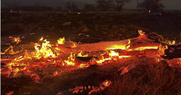 毛伊島野火55死！屍體海上漂「千人下落不明」　夏威夷州長：建州以來最慘災難