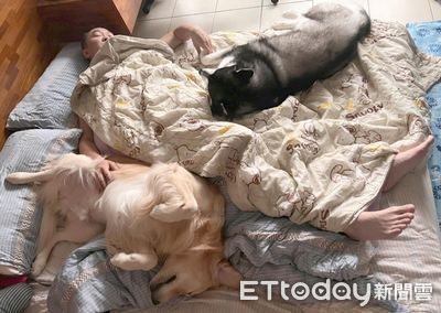 雨天出門上班...「一家三口」躺床睡翻 她嘆老公被搶沒人理自己
