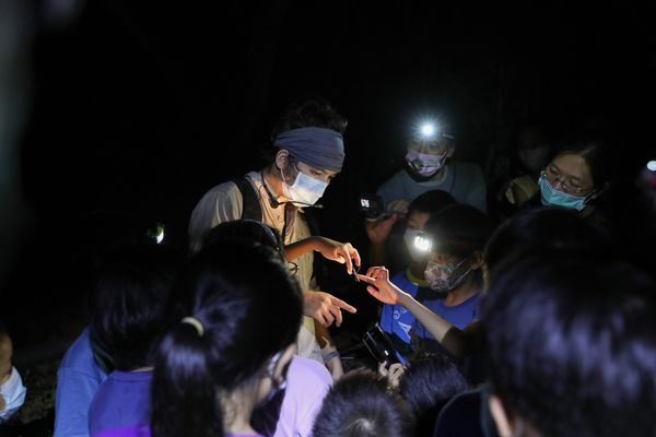 ▲「碧山露營場」9月2日將舉辦「鷲鷲的神祕夜生活」活動 。（圖／大地處提供）