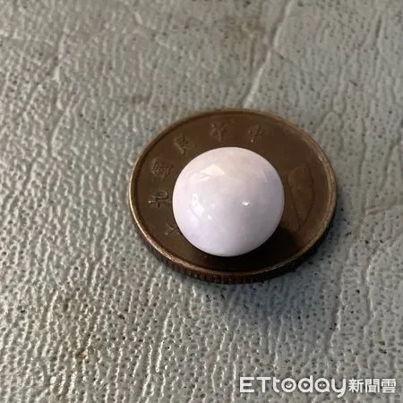 ▲▼ 澎湖牡蠣產出珍珠。（圖／記者陳韋男攝）