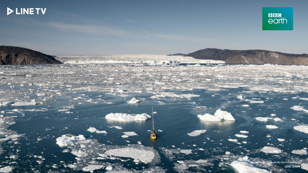 ▲《冰凍星球 第2季》南極阿德利企鵝因氣候變遷數量銳減。《工廠走透透 第7季》葛瑞格華勒斯拜訪歐洲大型工廠。（圖／LINE TV提供）