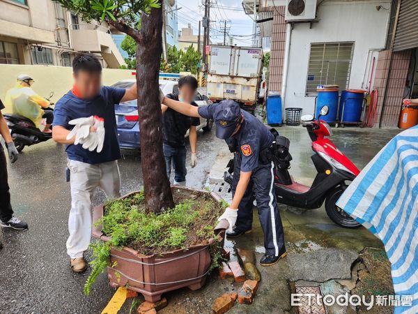 ▲▼貨車門沒關好！窄巷掃倒4公尺高真柏壓2車　主人驚：這顆要價10萬。（圖／記者賴文萱翻攝）