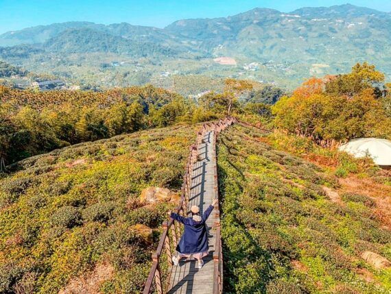 ▲嘉義阿里山景點。（圖／好好玩提供）