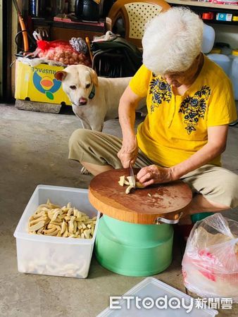 ▲米克斯「弟弟」。（圖／飼主黃明瀚授權提供）